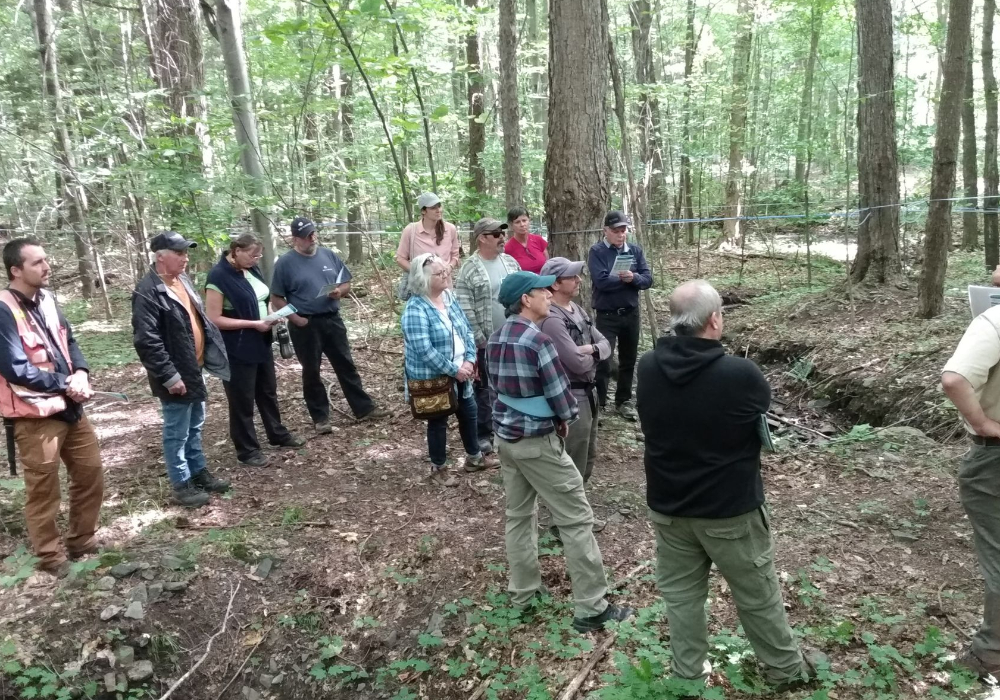 Deux belles visites forestières